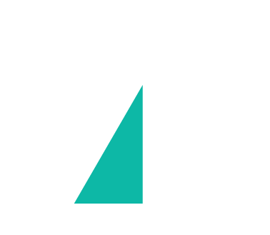 MintBird